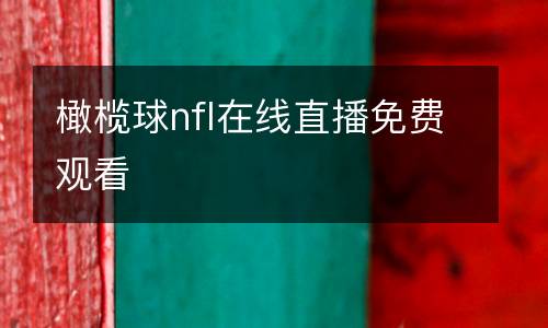 橄欖球nfl在線直播免費(fèi)觀看