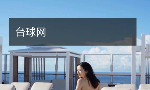 臺(tái)球網(wǎng)