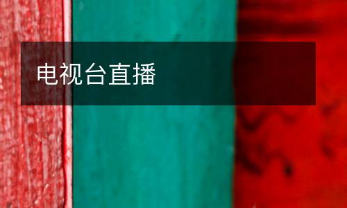 電視臺(tái)直播
