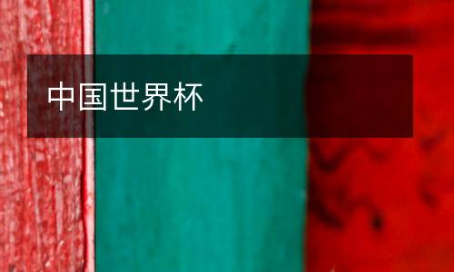 中國(guó)世界杯