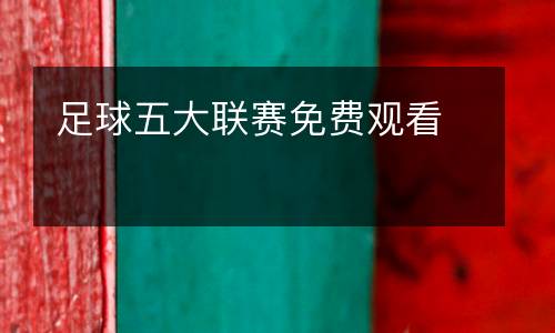 足球五大聯(lián)賽免費(fèi)觀看